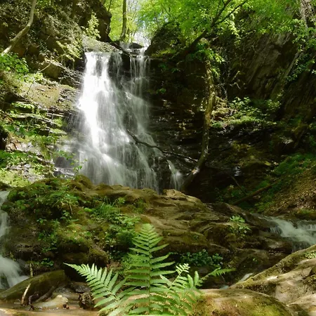 Hotel Zumbusch Bad Bertrich