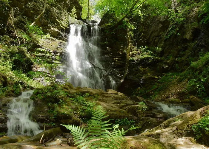 Zumbusch Bad Bertrich